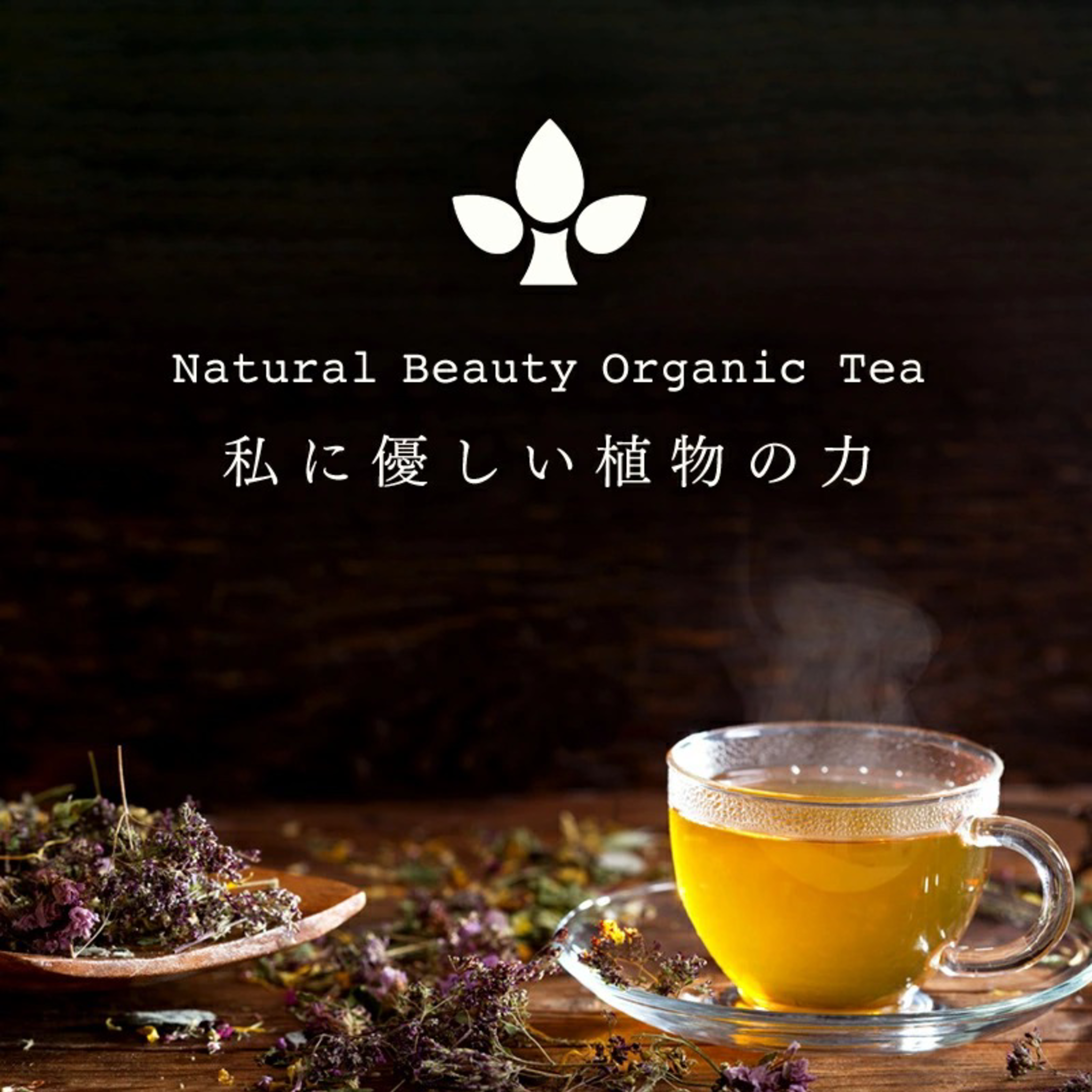 Natural Beauty Organic　ノンカフェイン　ブレンドティー